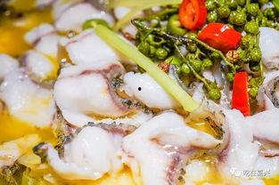 最新吃酸菜鱼爆料图片  第1张